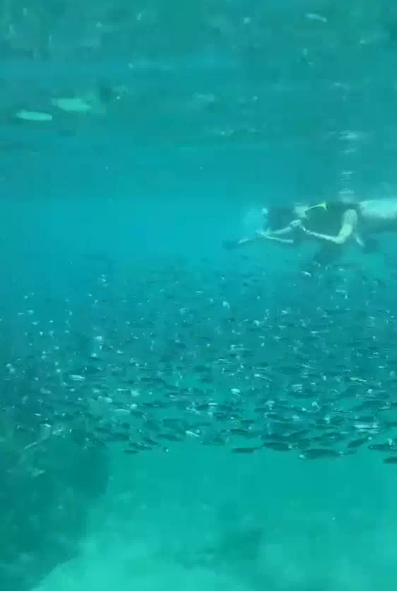 Ангтонг на катер