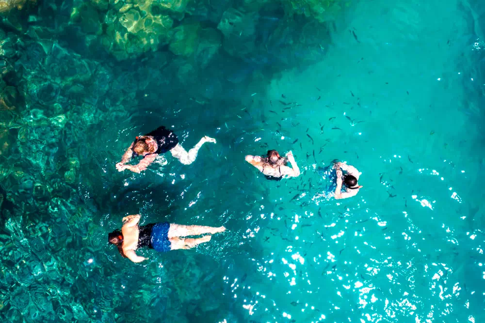 Экскурсия к розовым дельфинам, снорклинг на Ко Тан и остров со свинками Ко Мадсум view 7