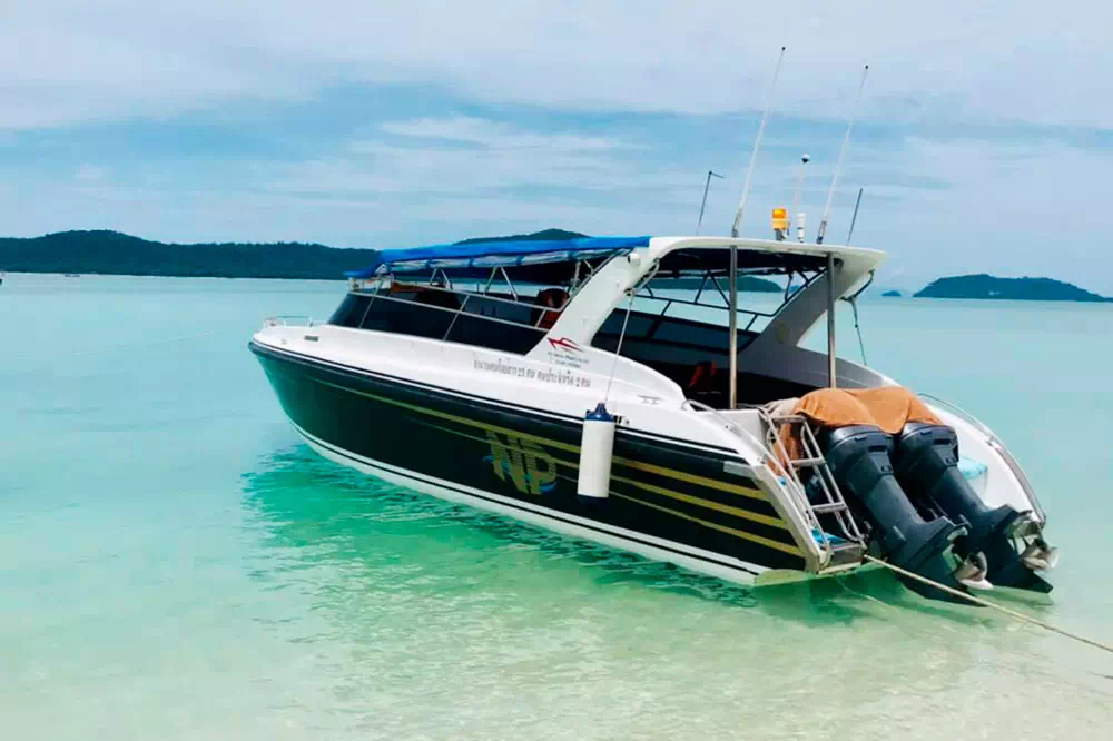 Экскурсия к розовым дельфинам, снорклинг на Ко Тан и остров со свинками Ко Мадсум view 9