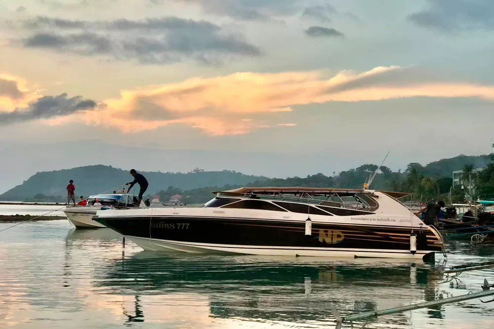 Экскурсия к розовым дельфинам, снорклинг на Ко Тан и остров со свинками Ко Мадсум view 16
