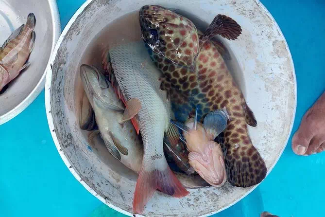 Морская рыбалка на Самуи вид 9