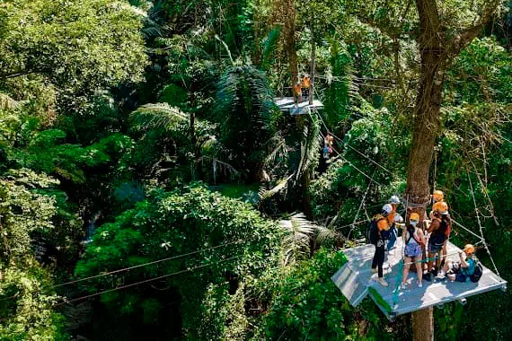 Канатная дорога на Самуи Hawk Adventure вид 17