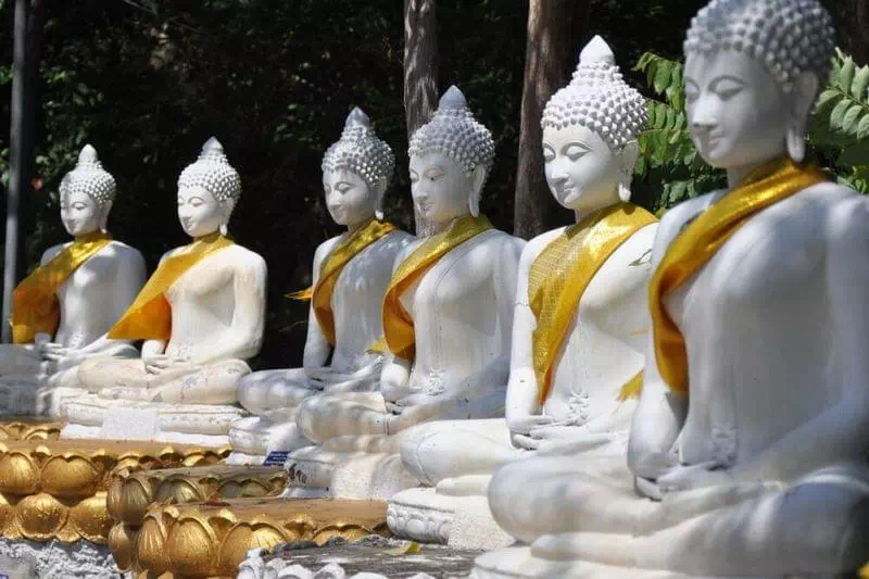 Индивидуальная обзорная экскурсия вид 5