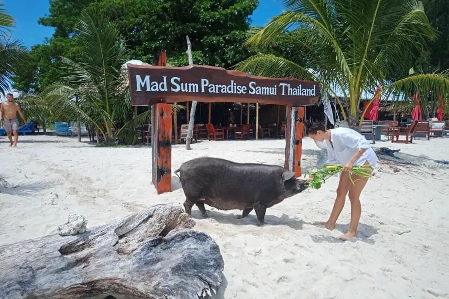 Сафари на гидроциклах на Самуи 14