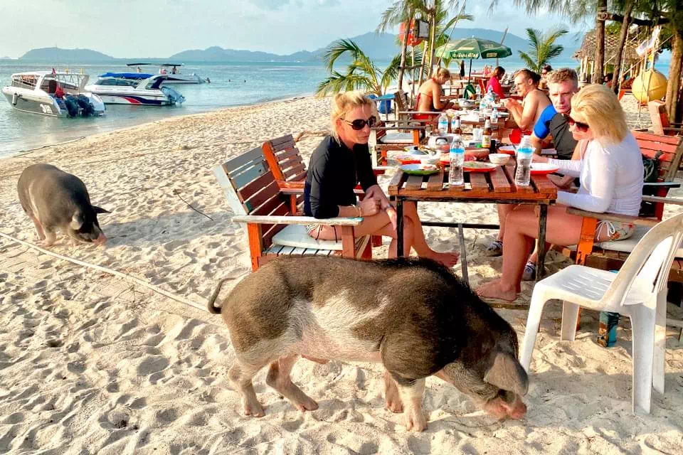 Ко Мадсум и Ко Тан VIP-тур view 11