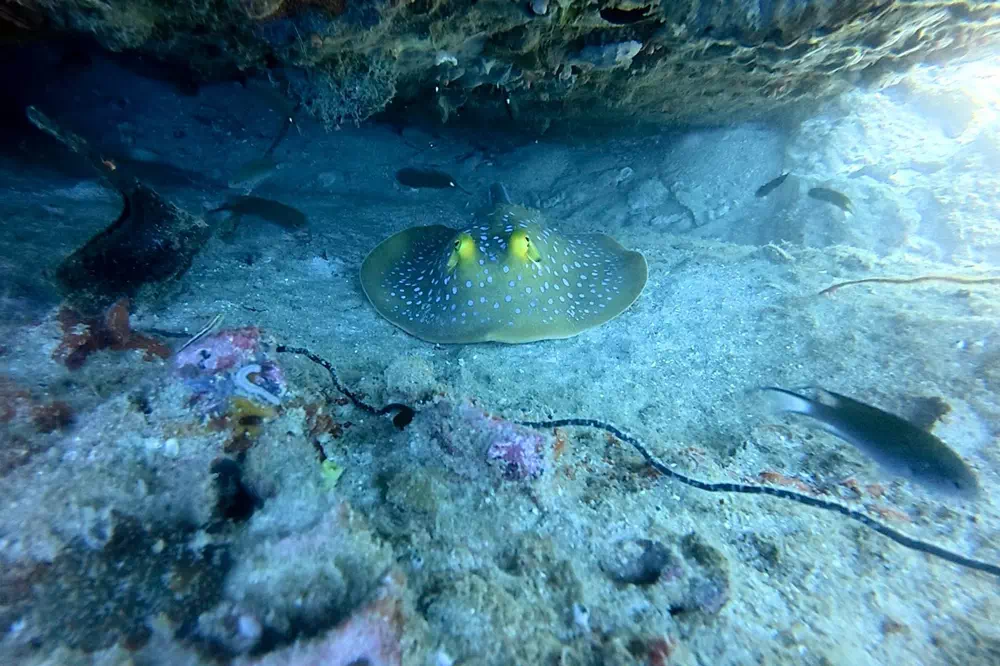 Острова Ко Тао и Нанг Юань вид 14