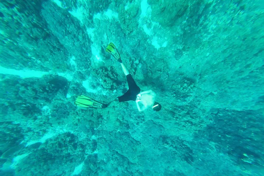 Зиплайн в Мире Ханумана