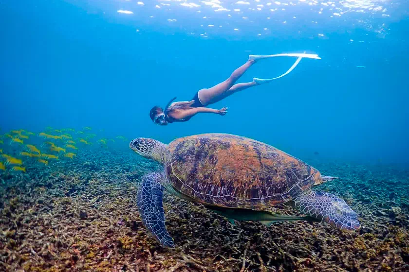 Зиплайн в Мире Ханумана