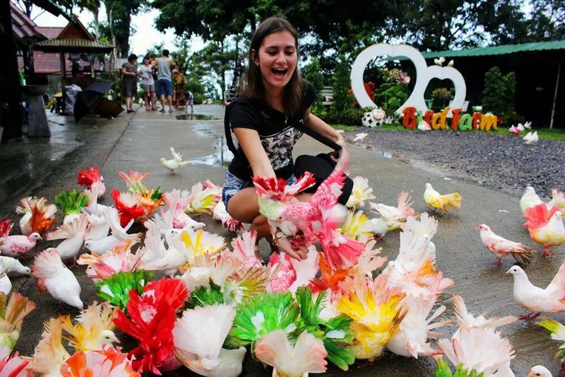 Парадайз парк на Самуи вид 8