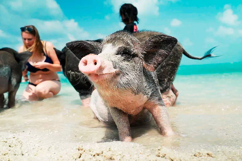 Ко Мадсум, отдых на пляже