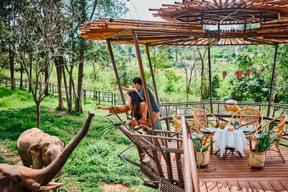 Королевство слонов на Самуи view 9