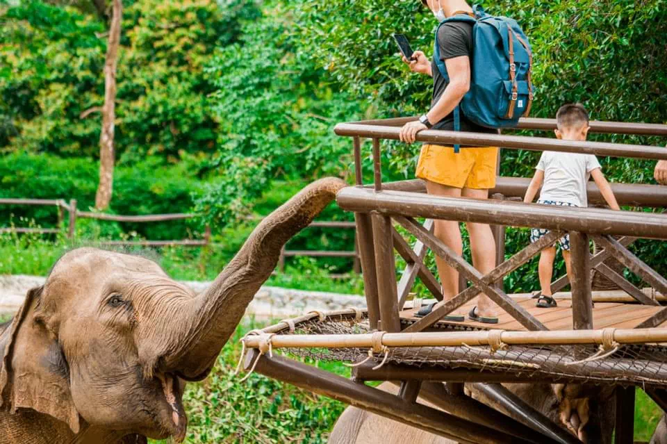 Королевство слонов на Самуи view 15