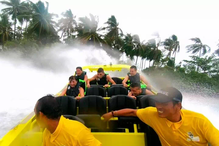 Экстремальный аттракцион Tornado вид 4