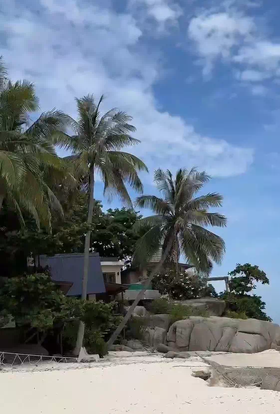 Экскурсия Ко Тао и Нанг Юань с Самуи история 1