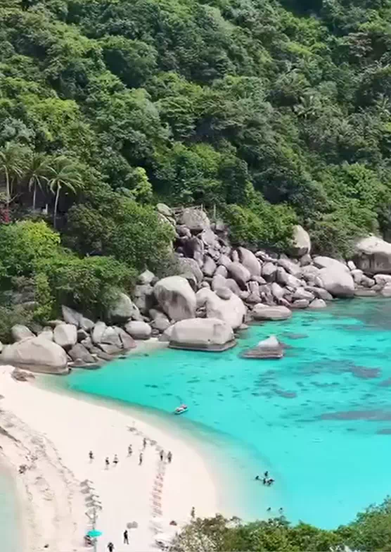 Экскурсия Ко Тао и Нанг Юань с Самуи история 5